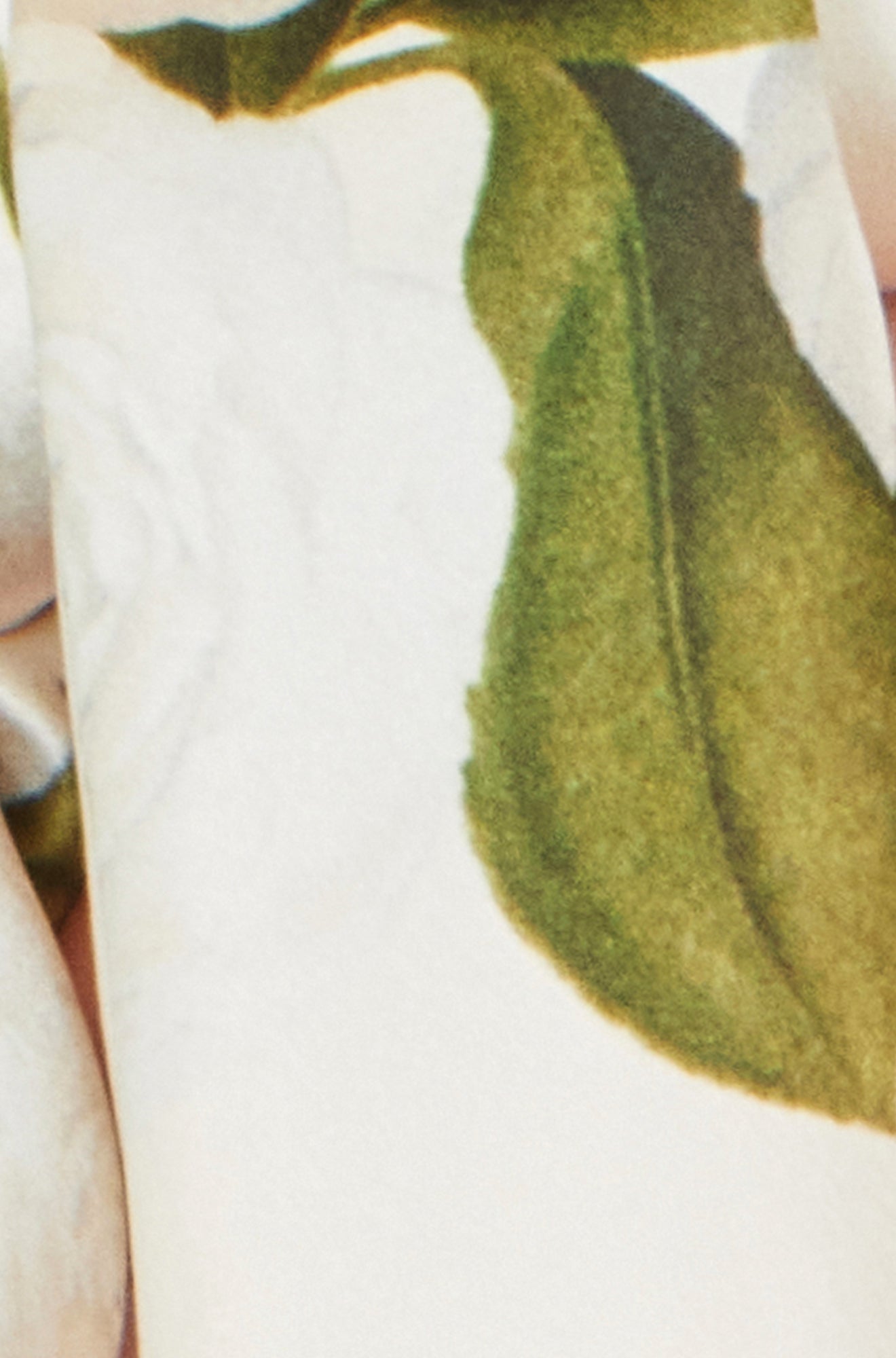 Ivory 100% Silk Botanical Rose Print Scarf