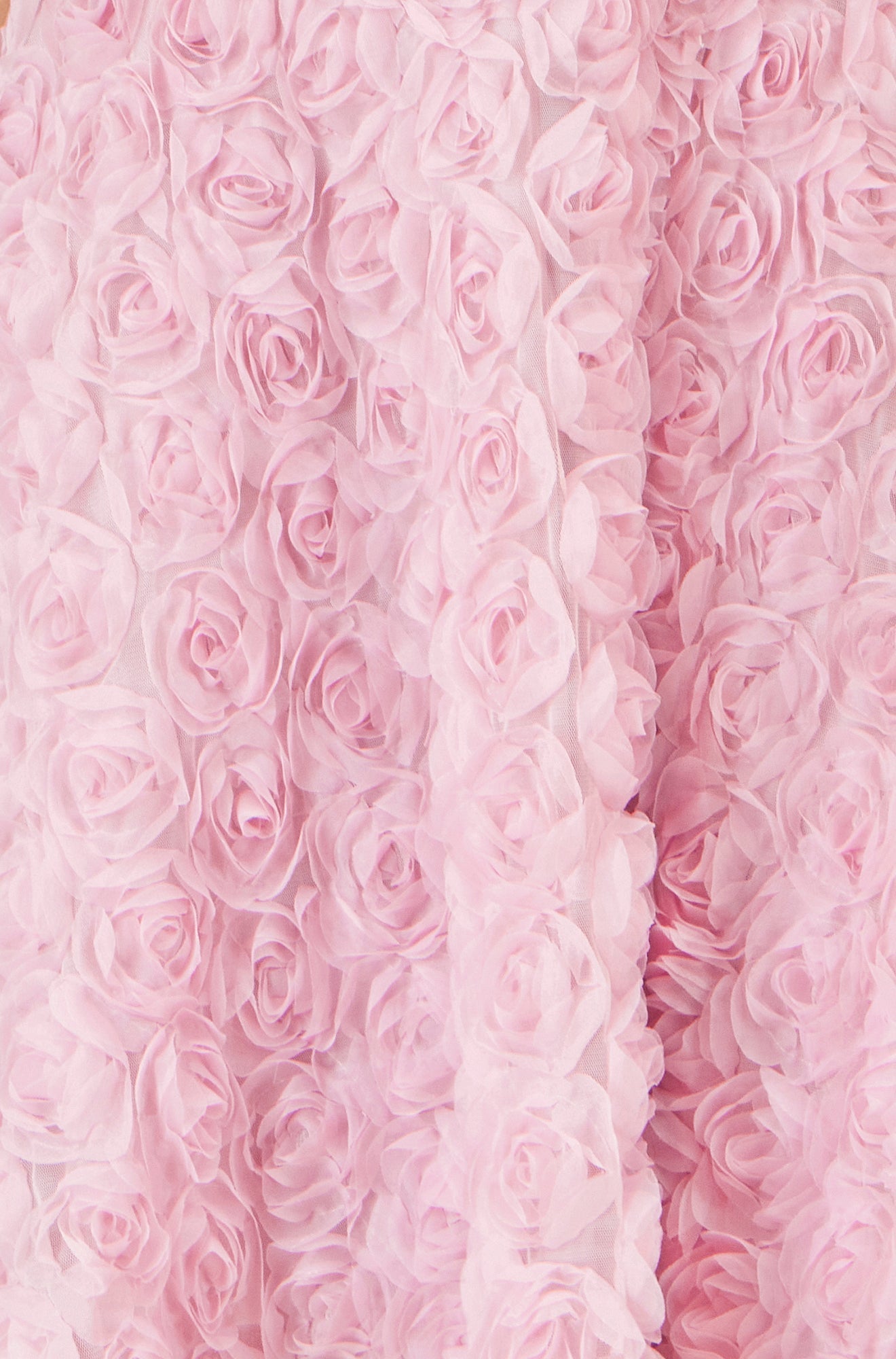 Pink Applique Floral Skater Dress