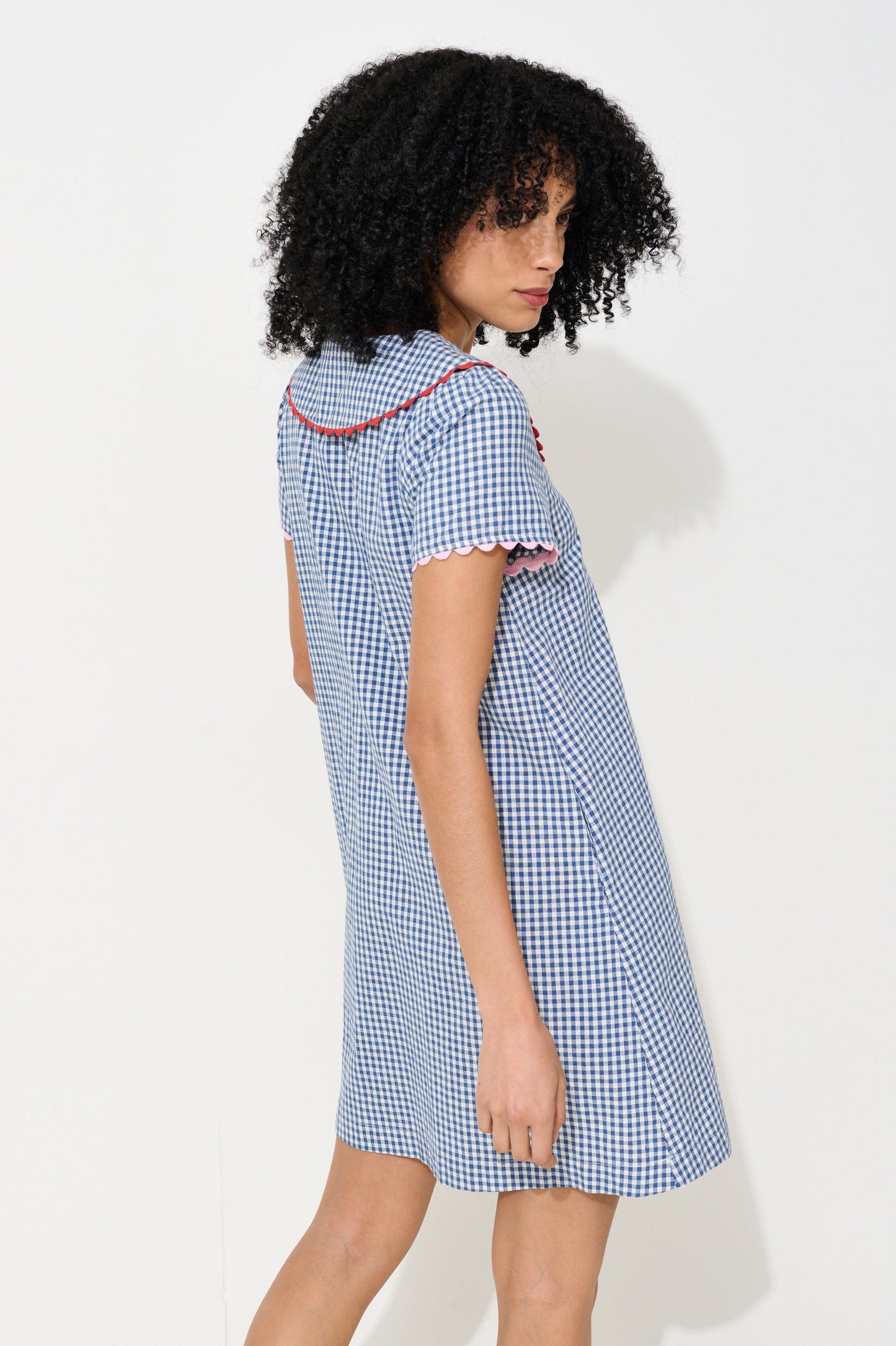 Gingham Ric Rac Trim Statement Collar Mini Dress - Blue