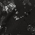 Black Sequin Floral Jumper