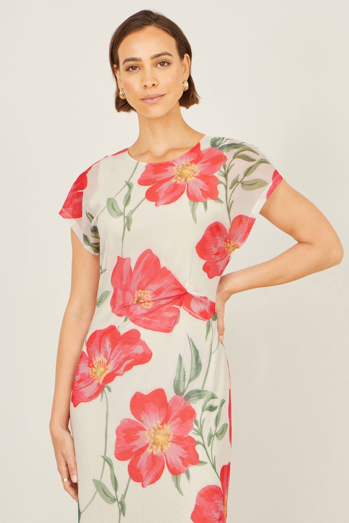 Poppy Print Dress