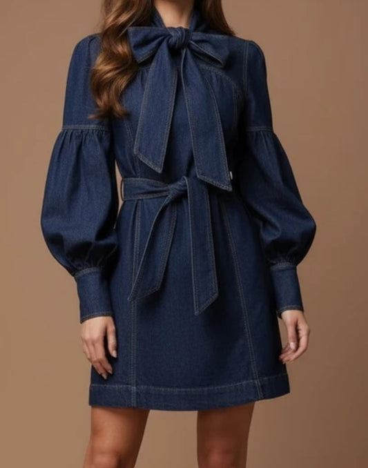Puff Sleeve Belted Pussy Bow Denim Dress