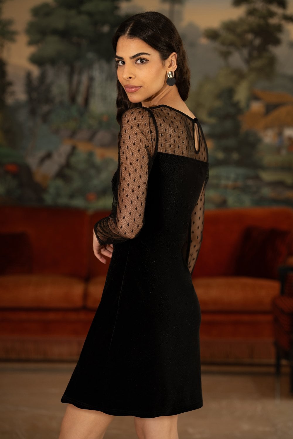 Velvet Dress With Sheer Sleeves - Sizes 8 to 16